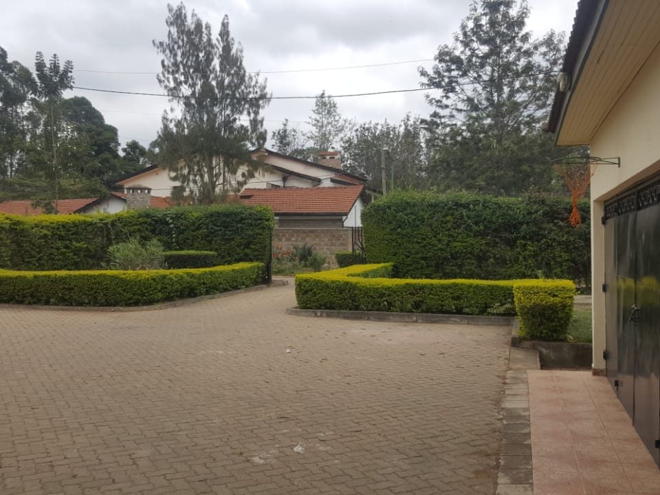 PHOTO-2019-01-29-18-05-22