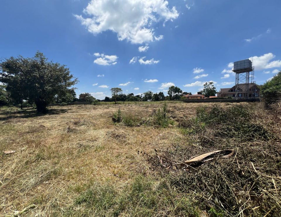 PHOTO-2024-02-06-18-09-42